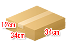 段ボールLP20枚用